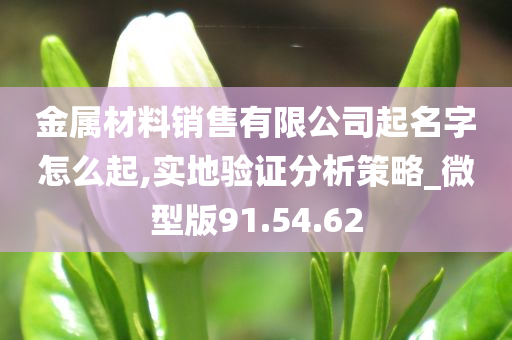 金属材料销售有限公司起名字怎么起,实地验证分析策略_微型版91.54.62