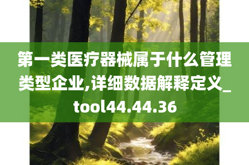 第一类医疗器械属于什么管理类型企业,详细数据解释定义_tool44.44.36