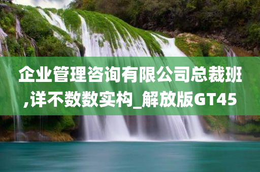 企业管理咨询有限公司总裁班,详不数数实构_解放版GT45