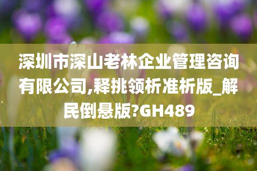 深圳市深山老林企业管理咨询有限公司,释挑领析准析版_解民倒悬版?GH489