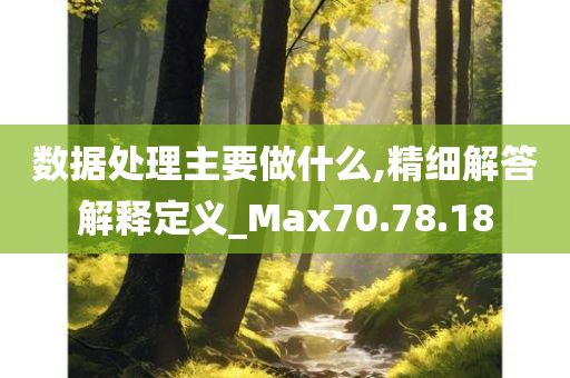 数据处理主要做什么,精细解答解释定义_Max70.78.18