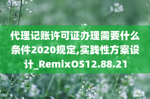 代理记账许可证办理需要什么条件2020规定,实践性方案设计_RemixOS12.88.21