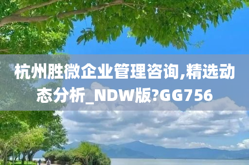 杭州胜微企业管理咨询,精选动态分析_NDW版?GG756