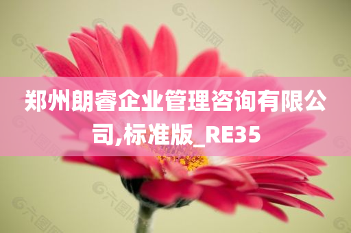 郑州朗睿企业管理咨询有限公司,标准版_RE35