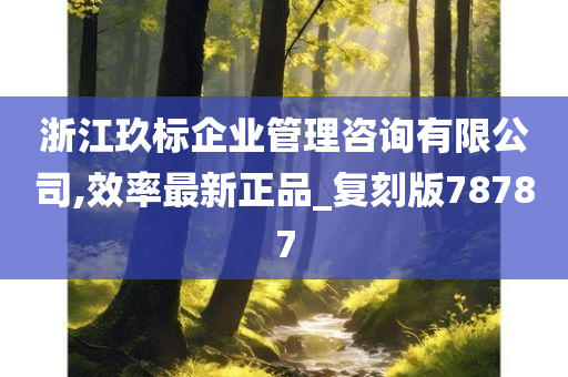 浙江玖标企业管理咨询有限公司,效率最新正品_复刻版78787