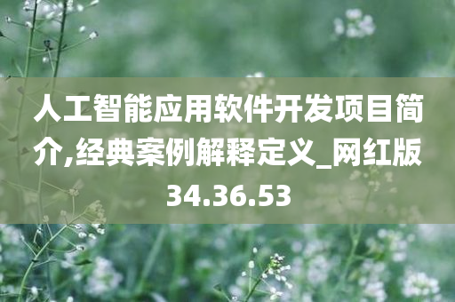 人工智能应用软件开发项目简介,经典案例解释定义_网红版34.36.53