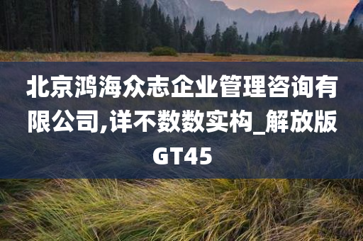 北京鸿海众志企业管理咨询有限公司,详不数数实构_解放版GT45