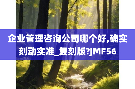 企业管理咨询公司哪个好,确实刻动实准_复刻版?JMF56