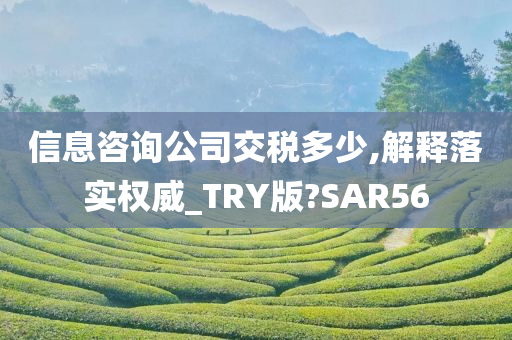 信息咨询公司交税多少,解释落实权威_TRY版?SAR56