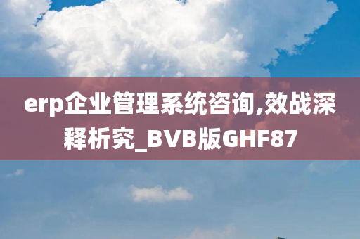 erp企业管理系统咨询,效战深释析究_BVB版GHF87