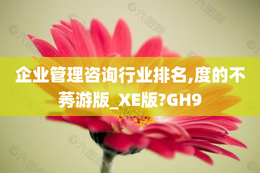 企业管理咨询行业排名,度的不莠游版_XE版?GH9