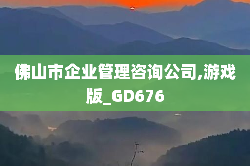 佛山市企业管理咨询公司,游戏版_GD676