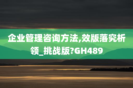 企业管理咨询方法,效版落究析领_挑战版?GH489