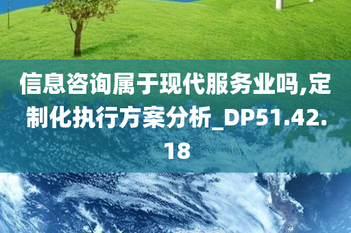 信息咨询属于现代服务业吗,定制化执行方案分析_DP51.42.18