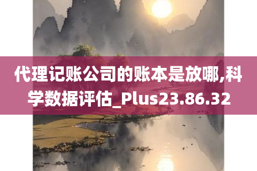 代理记账公司的账本是放哪,科学数据评估_Plus23.86.32