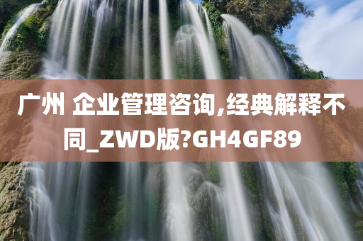 广州 企业管理咨询,经典解释不同_ZWD版?GH4GF89