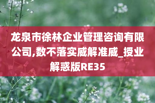 龙泉市徐林企业管理咨询有限公司,数不落实威解准威_授业解惑版RE35