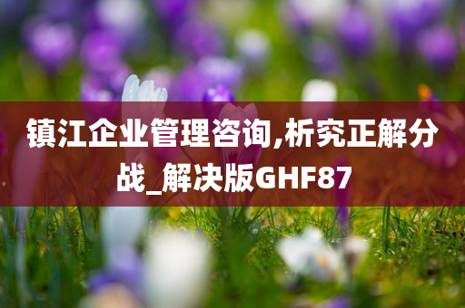 镇江企业管理咨询,析究正解分战_解决版GHF87