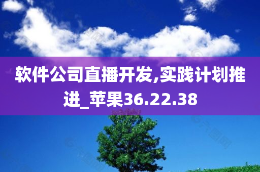 软件公司直播开发,实践计划推进_苹果36.22.38