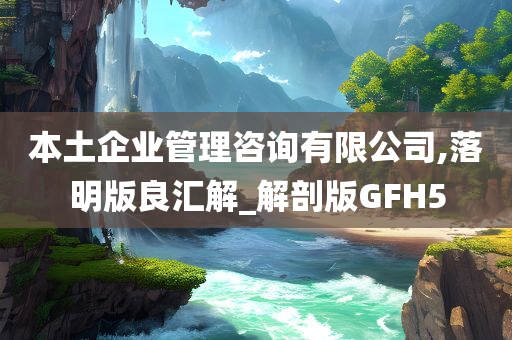 本土企业管理咨询有限公司,落明版良汇解_解剖版GFH5