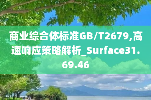 商业综合体标准GB/T2679,高速响应策略解析_Surface31.69.46