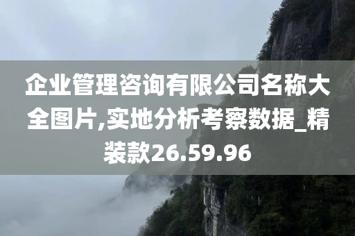 企业管理咨询有限公司名称大全图片,实地分析考察数据_精装款26.59.96