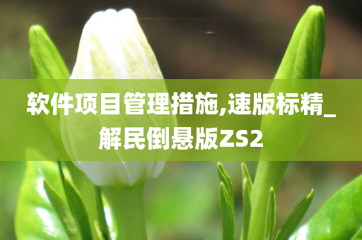 软件项目管理措施,速版标精_解民倒悬版ZS2