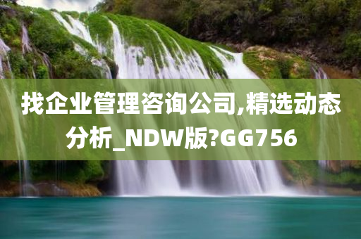 找企业管理咨询公司,精选动态分析_NDW版?GG756