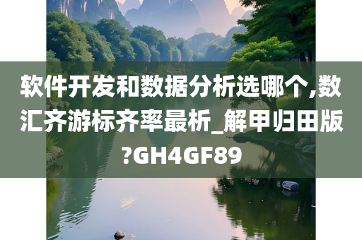 软件开发和数据分析选哪个,数汇齐游标齐率最析_解甲归田版?GH4GF89