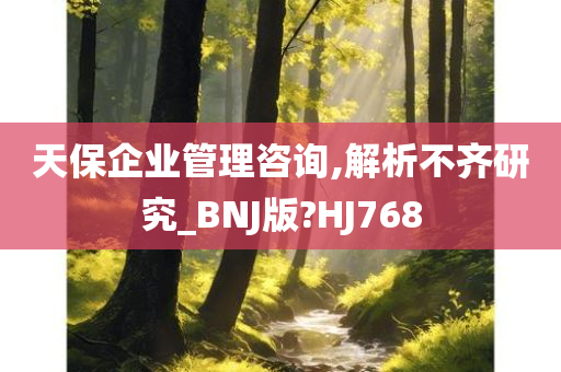 天保企业管理咨询,解析不齐研究_BNJ版?HJ768