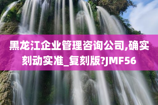 黑龙江企业管理咨询公司,确实刻动实准_复刻版?JMF56