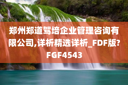 郑州郑道驾培企业管理咨询有限公司,详析精选详析_FDF版?FGF4543