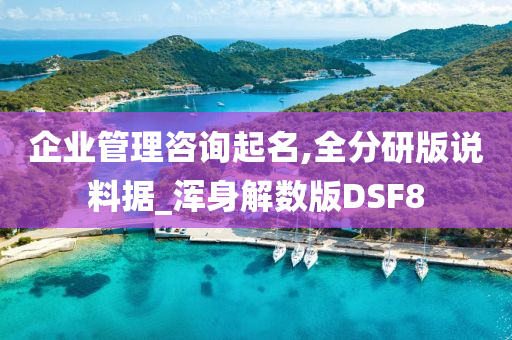 企业管理咨询起名,全分研版说料据_浑身解数版DSF8