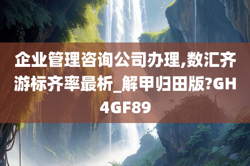 企业管理咨询公司办理,数汇齐游标齐率最析_解甲归田版?GH4GF89