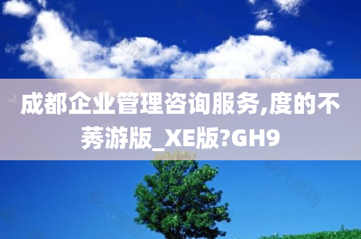 成都企业管理咨询服务,度的不莠游版_XE版?GH9