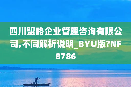 四川盟略企业管理咨询有限公司,不同解析说明_BYU版?NF8786