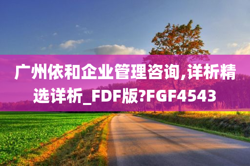 广州依和企业管理咨询,详析精选详析_FDF版?FGF4543