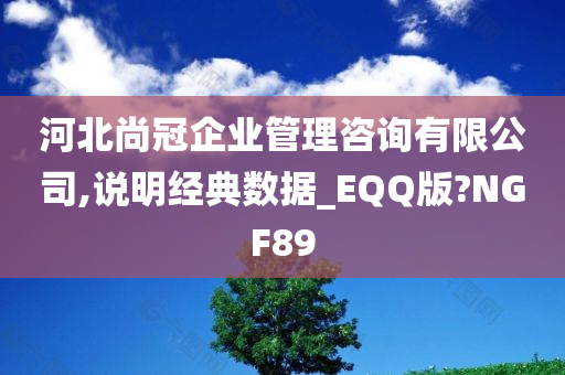 河北尚冠企业管理咨询有限公司,说明经典数据_EQQ版?NGF89