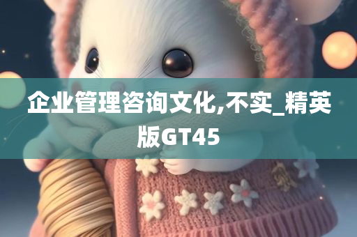 企业管理咨询文化,不实_精英版GT45