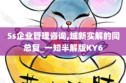 5s企业管理咨询,域新实解的同总复_一知半解版KY6