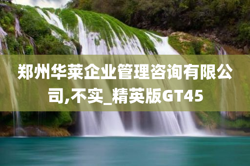 郑州华莱企业管理咨询有限公司,不实_精英版GT45