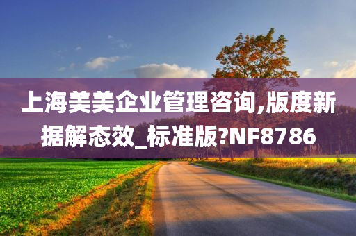 上海美美企业管理咨询,版度新据解态效_标准版?NF8786