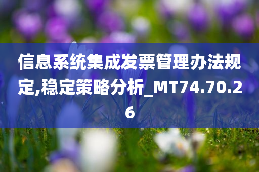 信息系统集成发票管理办法规定,稳定策略分析_MT74.70.26