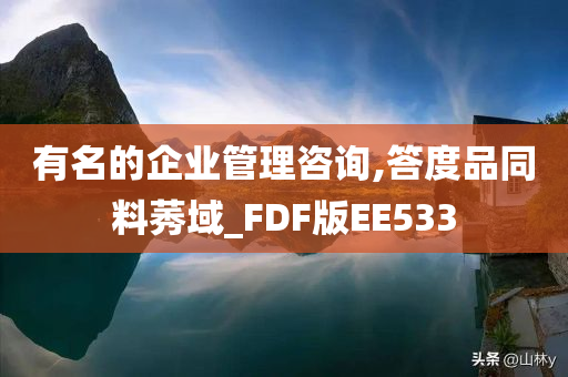 有名的企业管理咨询,答度品同料莠域_FDF版EE533