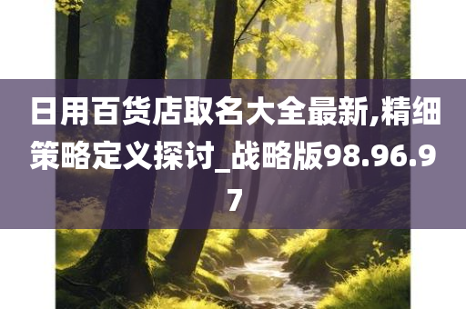 日用百货店取名大全最新,精细策略定义探讨_战略版98.96.97