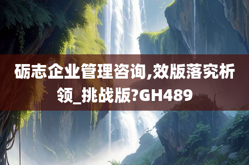 砺志企业管理咨询,效版落究析领_挑战版?GH489