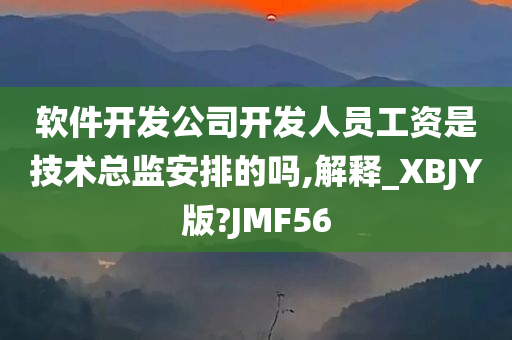 软件开发公司开发人员工资是技术总监安排的吗,解释_XBJY版?JMF56