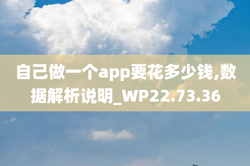 自己做一个app要花多少钱,数据解析说明_WP22.73.36