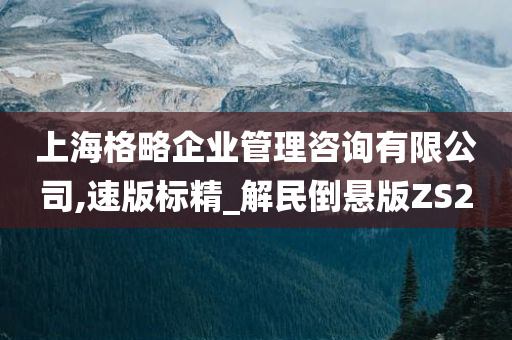 上海格略企业管理咨询有限公司,速版标精_解民倒悬版ZS2