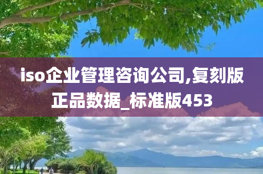 iso企业管理咨询公司,复刻版正品数据_标准版453